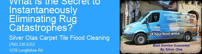 What Is the Secret to Instantaneously Eliminating Rug Catastrophes?