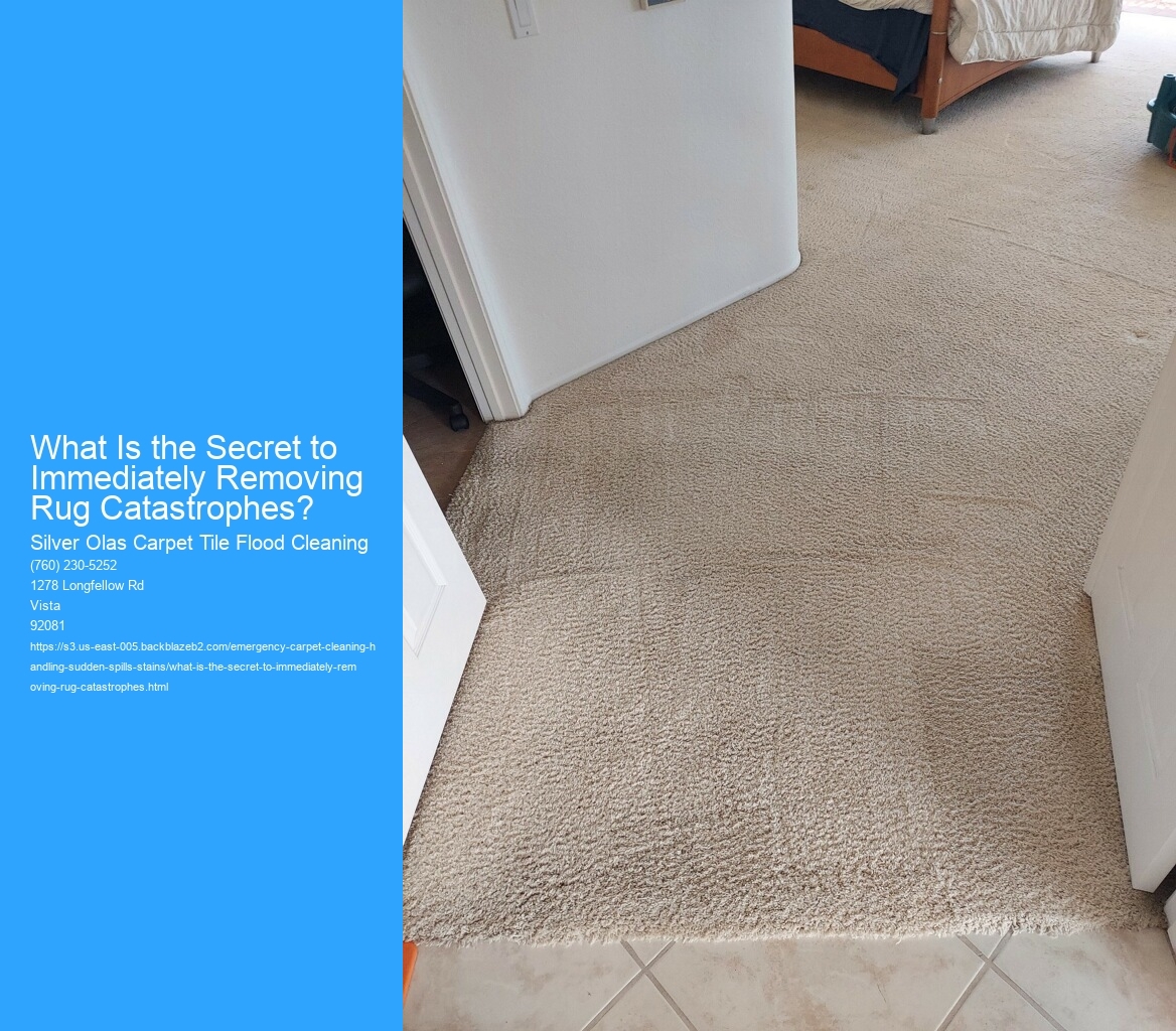 What Is the Secret to Immediately Removing Rug Catastrophes?