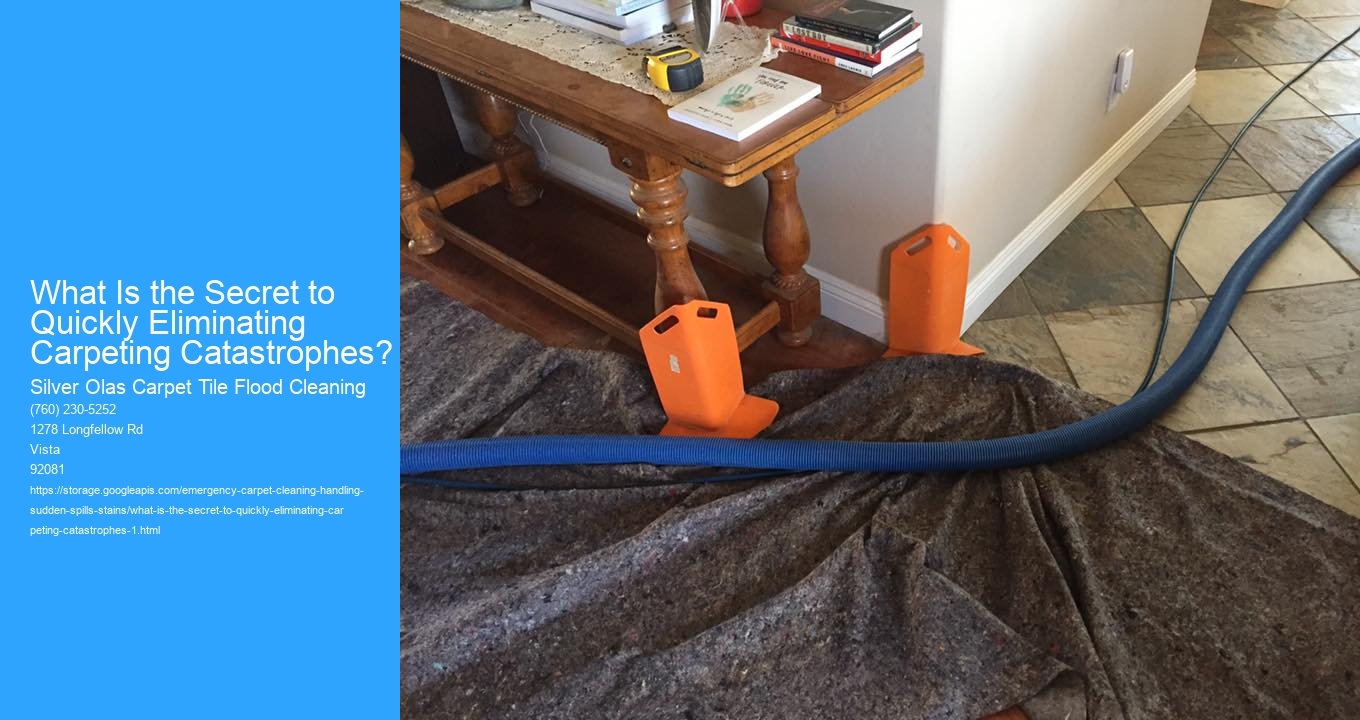 What Is the Secret to Quickly Eliminating Carpeting Catastrophes?