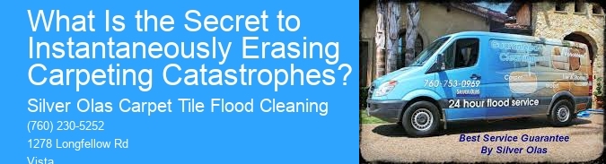 What Is the Secret to Instantaneously Erasing Carpeting Catastrophes?