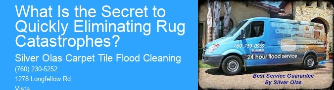 What Is the Secret to Quickly Eliminating Rug Catastrophes?