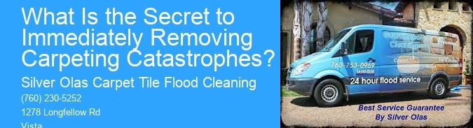 What Is the Secret to Immediately Removing Carpeting Catastrophes?